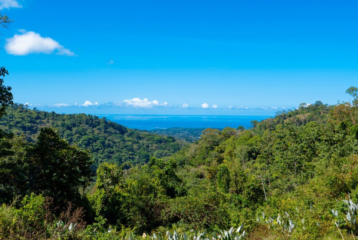 DEVELOPMENT PROPERTY WITH BEAUTIFUL CASCADE, IN UVITA – 101 ACRES
