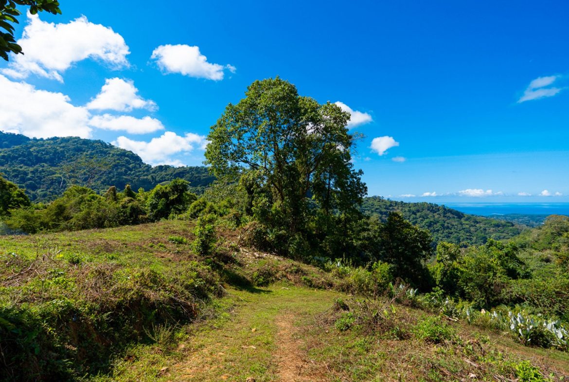 DEVELOPMENT PROPERTY WITH BEAUTIFUL CASCADE, IN UVITA – 101 ACRES