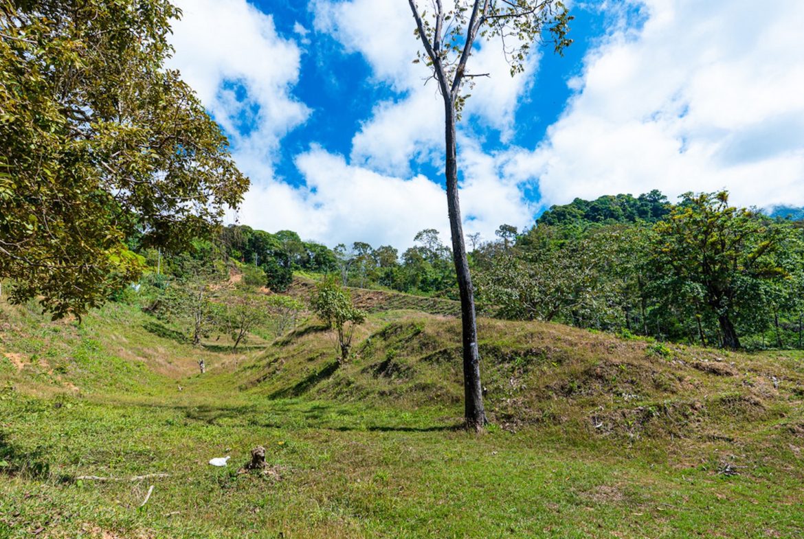 DEVELOPMENT PROPERTY WITH BEAUTIFUL CASCADE, IN UVITA – 101 ACRES