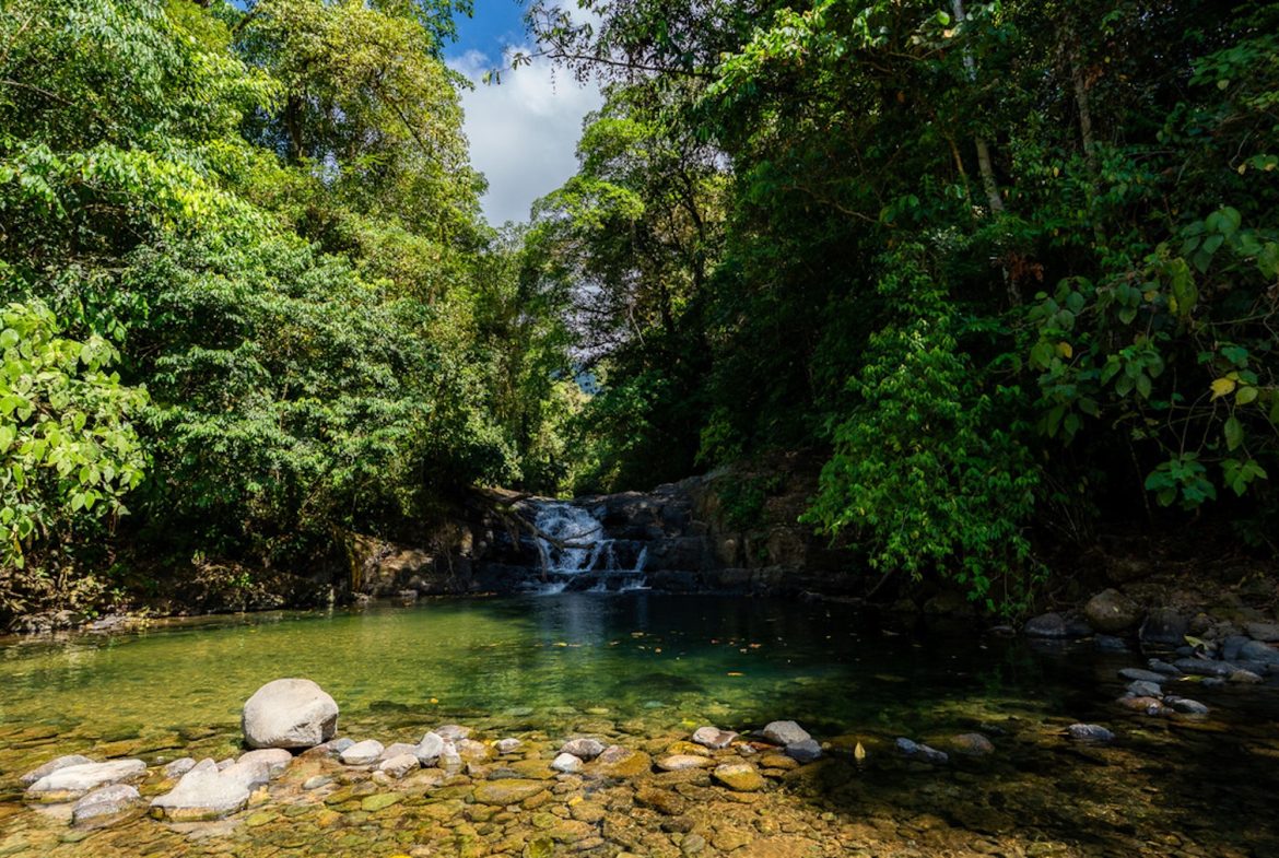DEVELOPMENT PROPERTY WITH BEAUTIFUL CASCADE, IN UVITA – 101 ACRES