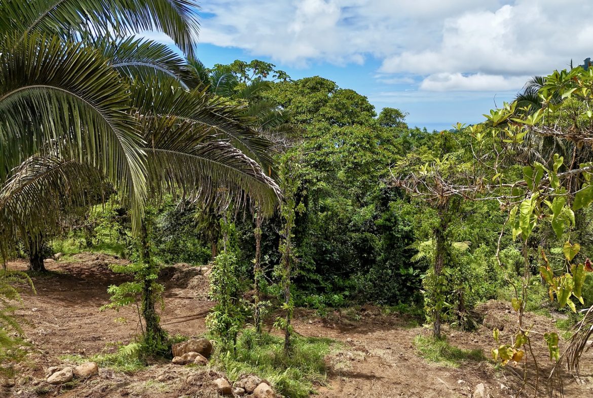 MOUNTAIN BUILDING PROPERTY WITH A CREEK, IN TRES RIOS – 12.5 ACRES