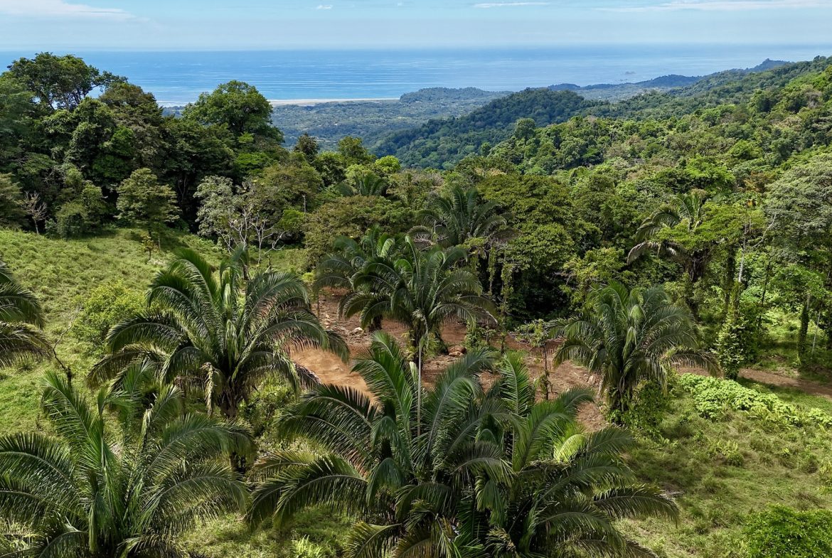 MOUNTAIN BUILDING PROPERTY WITH A CREEK, IN TRES RIOS – 12.5 ACRES