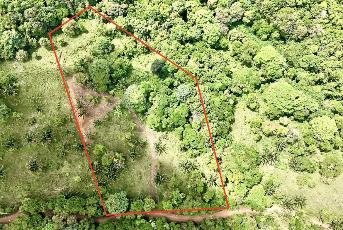 MOUNTAIN BUILDING PROPERTY WITH A CREEK, IN TRES RIOS – 12.5 ACRES