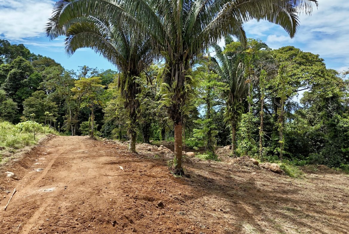 MOUNTAIN BUILDING PROPERTY WITH A CREEK, IN TRES RIOS – 12.5 ACRES