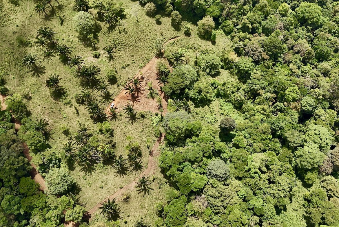MOUNTAIN BUILDING PROPERTY WITH A CREEK, IN TRES RIOS – 12.5 ACRES