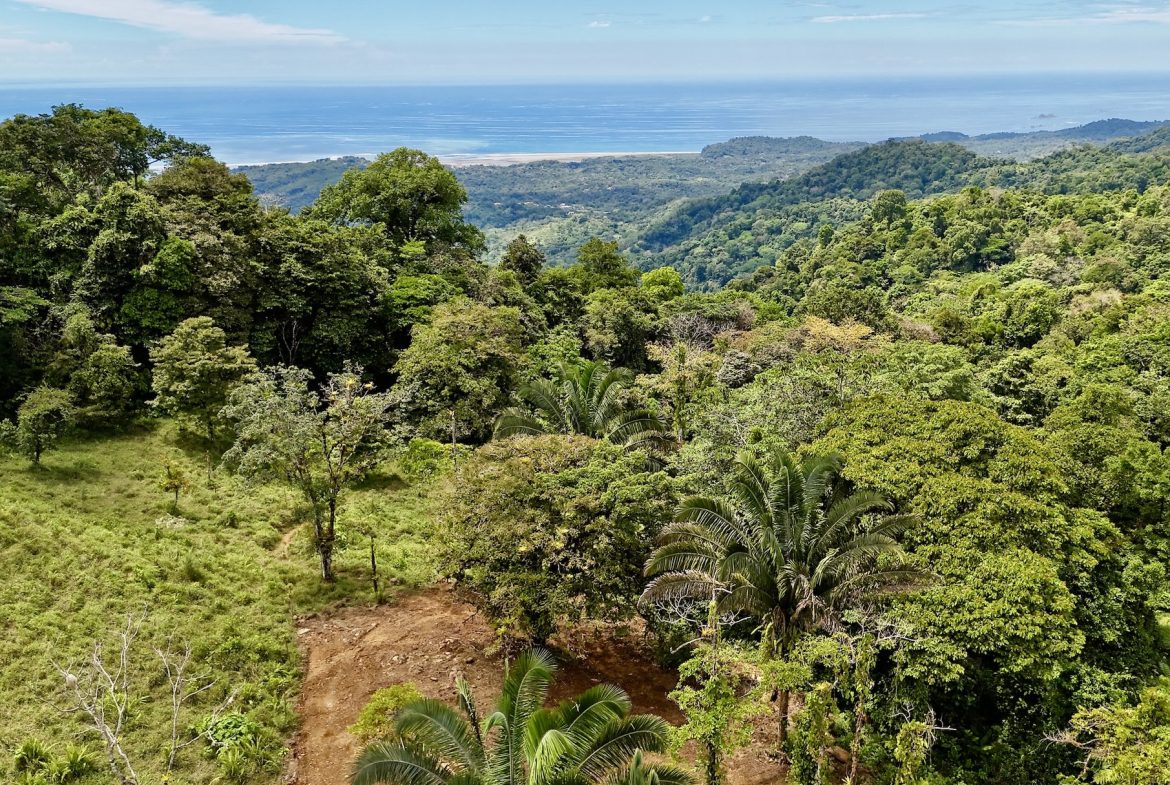 MOUNTAIN BUILDING PROPERTY WITH A CREEK, IN TRES RIOS – 12.5 ACRES