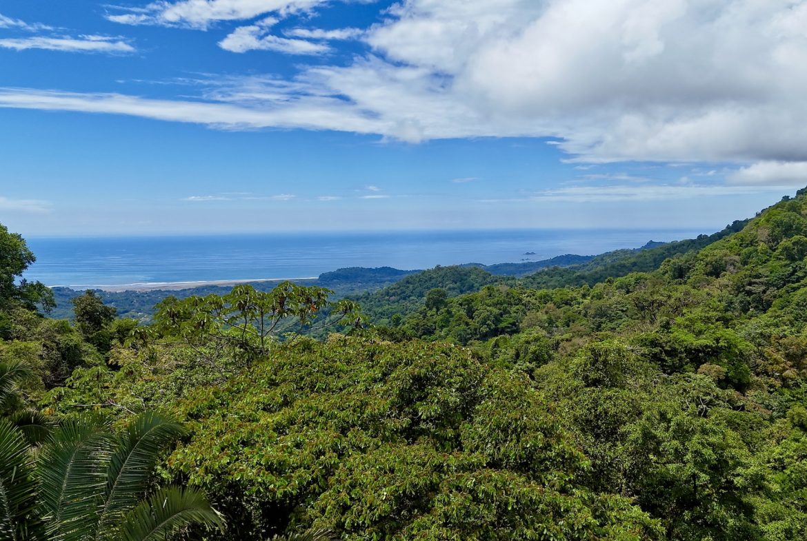 MOUNTAIN BUILDING PROPERTY WITH A CREEK, IN TRES RIOS – 12.5 ACRES