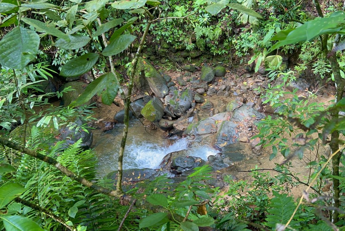 MOUNTAIN BUILDING PROPERTY WITH A CREEK, IN SAN JOSECITO – 5.9 ACRES