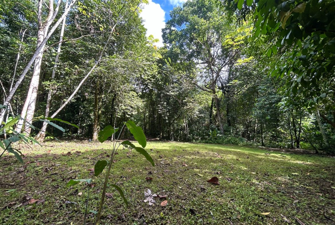 MOUNTAIN BUILDING PROPERTY WITH A CREEK, IN SAN JOSECITO – 5.9 ACRES
