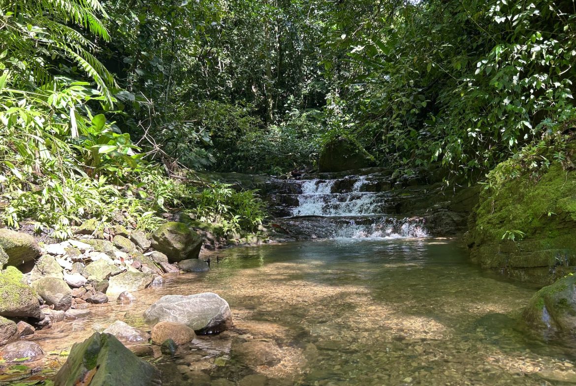 MOUNTAIN BUILDING PROPERTY WITH A CREEK, IN SAN JOSECITO – 5.9 ACRES