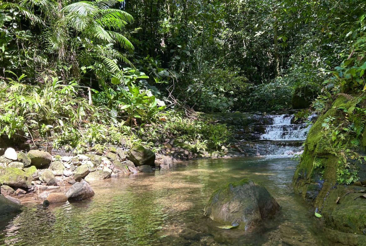 MOUNTAIN BUILDING PROPERTY WITH A CREEK, IN SAN JOSECITO – 5.9 ACRES