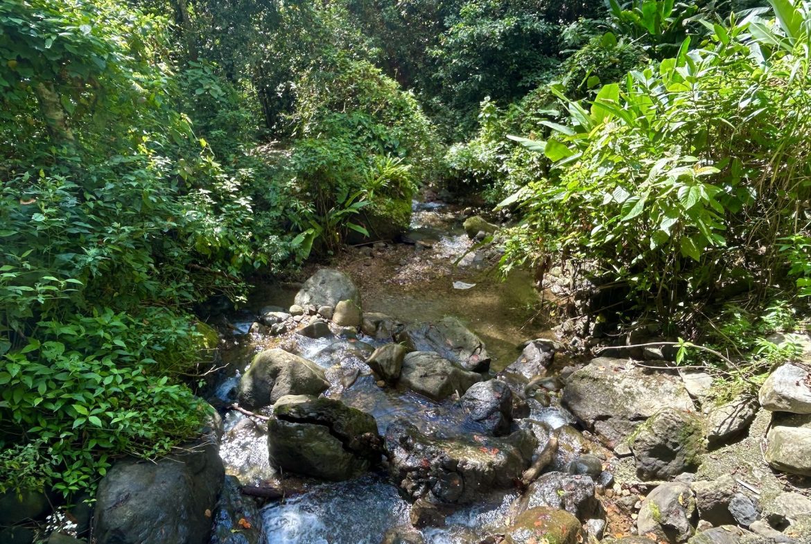 MOUNTAIN BUILDING PROPERTY WITH A CREEK, IN SAN JOSECITO – 5.9 ACRES