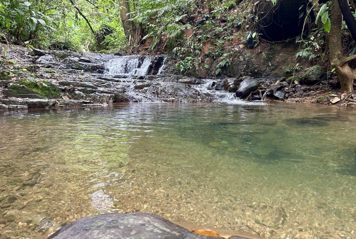 MOUNTAIN BUILDING PROPERTY WITH A CREEK, IN SAN JOSECITO – 5.9 ACRES