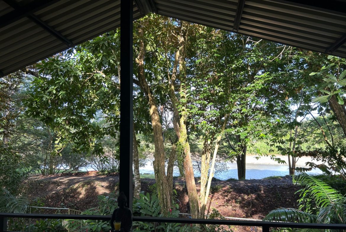 COMMERCIAL PROPERTY WITH SIX BEDROOMS NEAR EVERYTHING, IN DOMINICAL – 0.23 ACRES