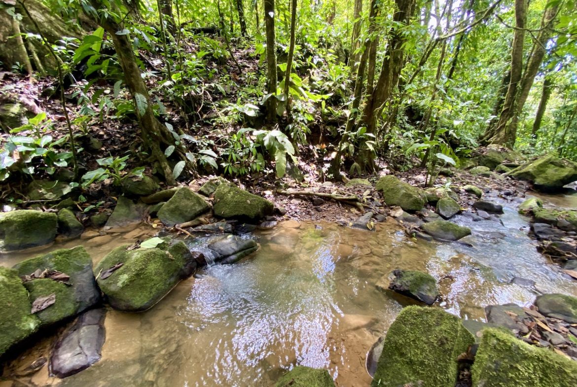 MOUNTAIN BUILDING PROPERTY WITH A CREEK, IN TRES RIOS – 12.5 ACRES