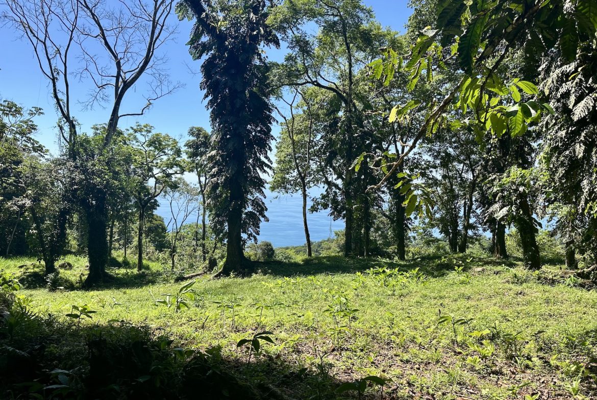 BUILDING PROPERTY WITH STELLAR OCEAN VIEWS, IN ESCALERAS – 5.8 ACRES