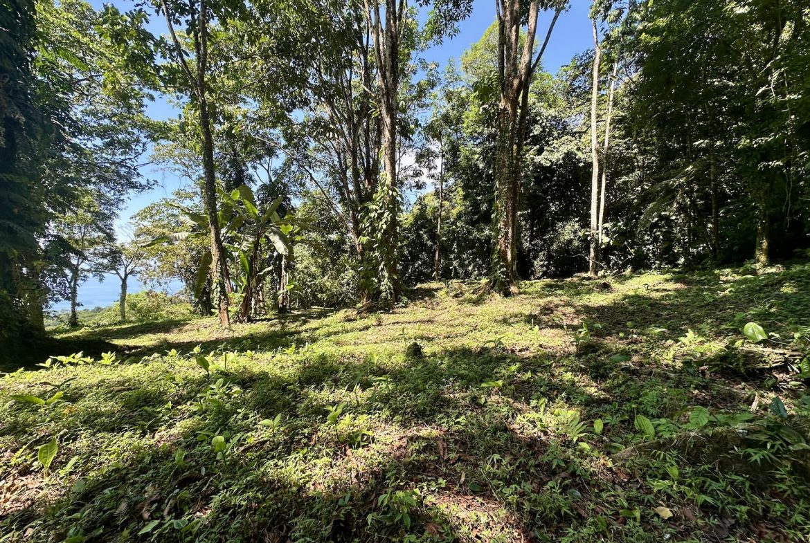 BUILDING PROPERTY WITH STELLAR OCEAN VIEWS, IN ESCALERAS – 5.8 ACRES