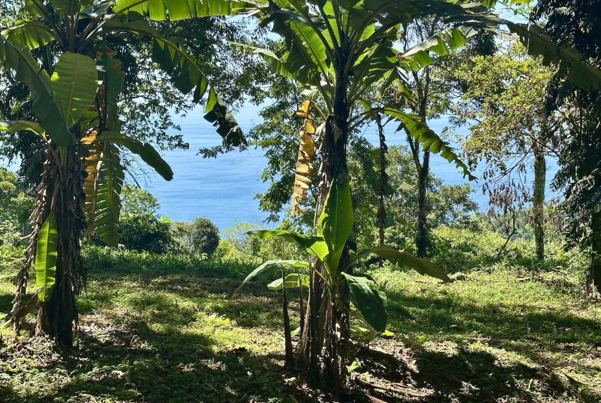 BUILDING PROPERTY WITH STELLAR OCEAN VIEWS, IN ESCALERAS – 5.8 ACRES