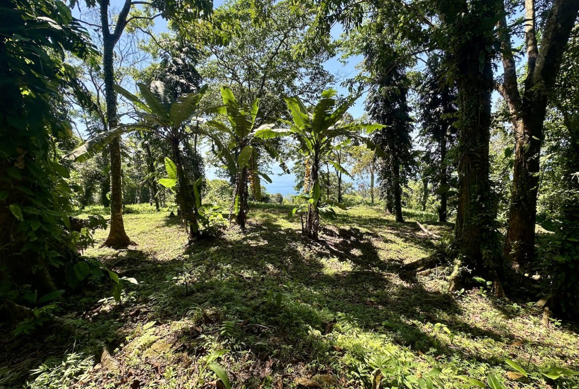 BUILDING PROPERTY WITH STELLAR OCEAN VIEWS, IN ESCALERAS – 5.8 ACRES