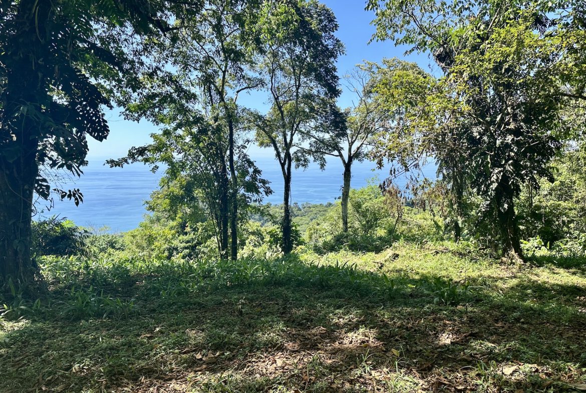 BUILDING PROPERTY WITH STELLAR OCEAN VIEWS, IN ESCALERAS – 5.8 ACRES