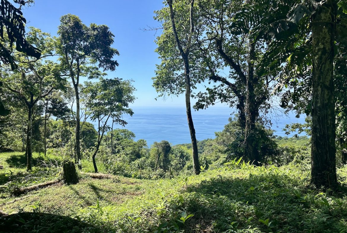 BUILDING PROPERTY WITH STELLAR OCEAN VIEWS, IN ESCALERAS – 5.8 ACRES