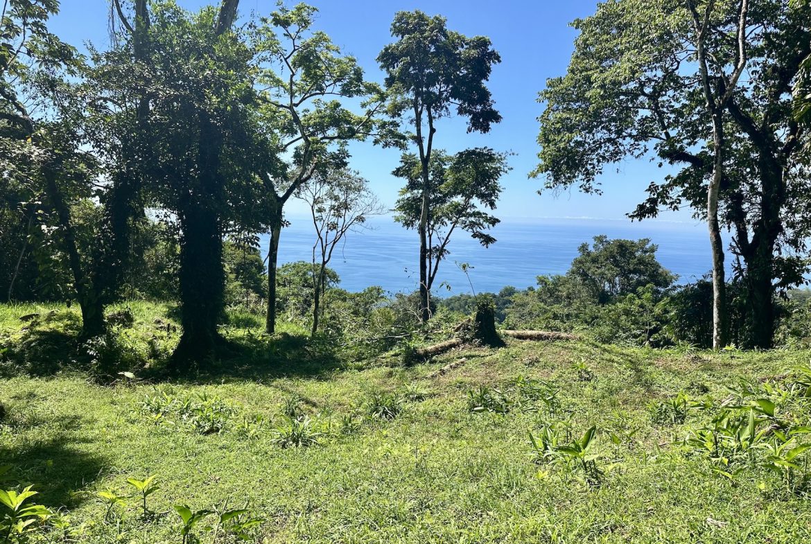 BUILDING PROPERTY WITH STELLAR OCEAN VIEWS, IN ESCALERAS – 5.8 ACRES