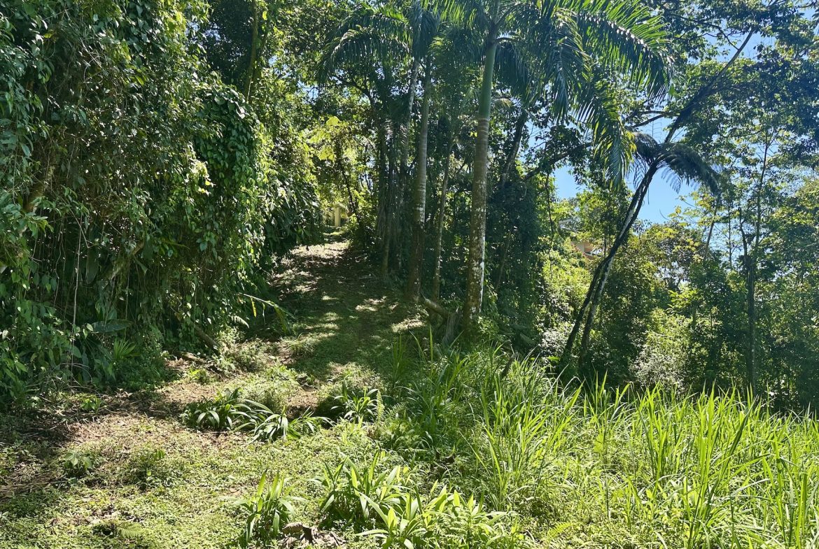 BUILDING PROPERTY WITH STELLAR OCEAN VIEWS, IN ESCALERAS – 5.8 ACRES