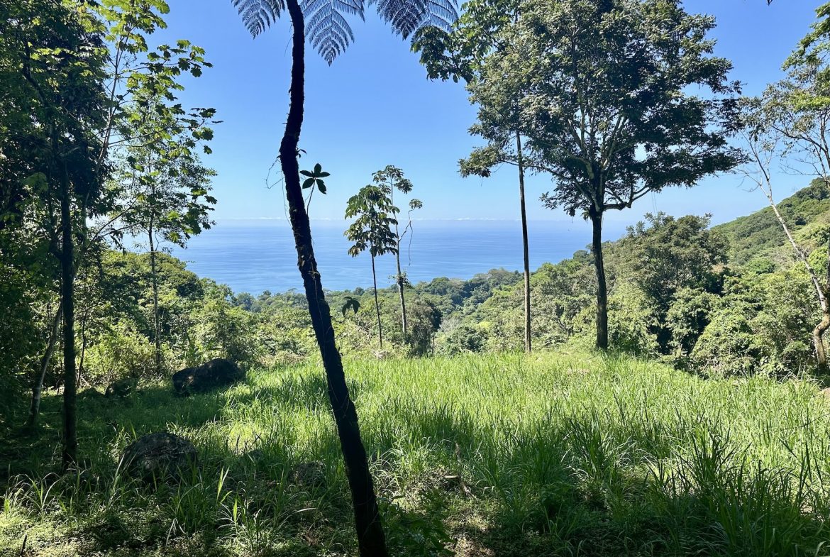 BUILDING PROPERTY WITH STELLAR OCEAN VIEWS, IN ESCALERAS – 5.8 ACRES