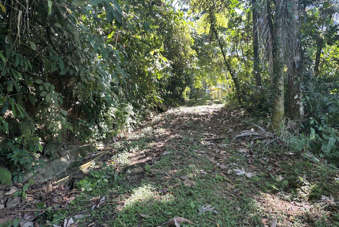 BUILDING PROPERTY WITH STELLAR OCEAN VIEWS, IN ESCALERAS – 5.8 ACRES