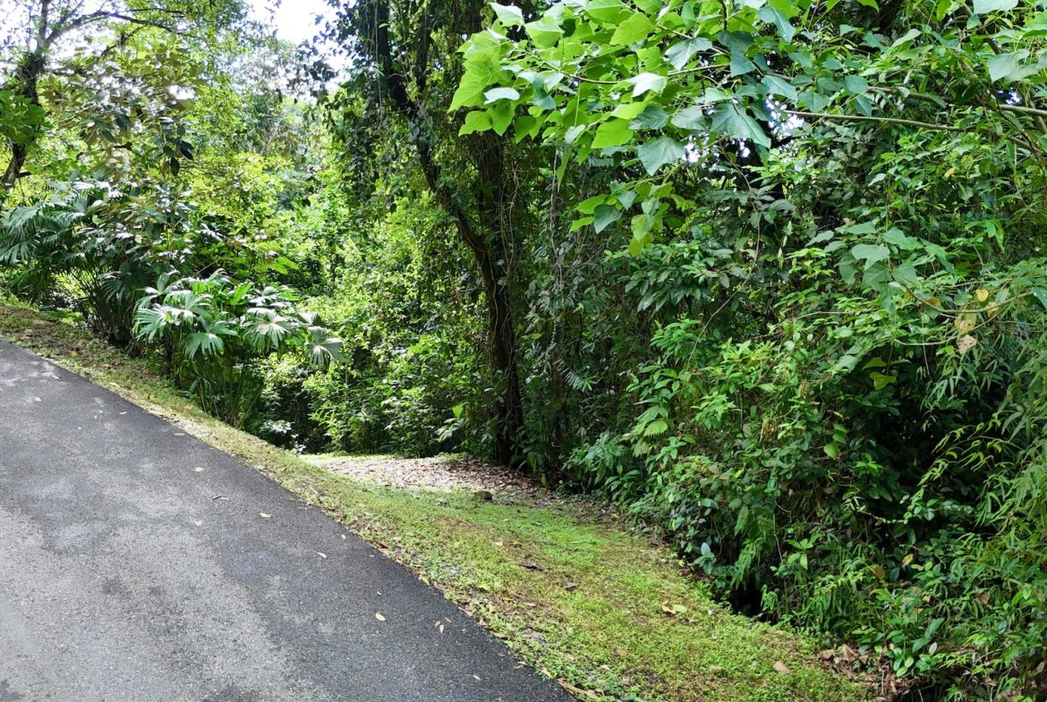 MOUNTAIN BUILDING PROPERTY WITH A CREEK, IN SAN JOSECITO – 5.9 ACRES