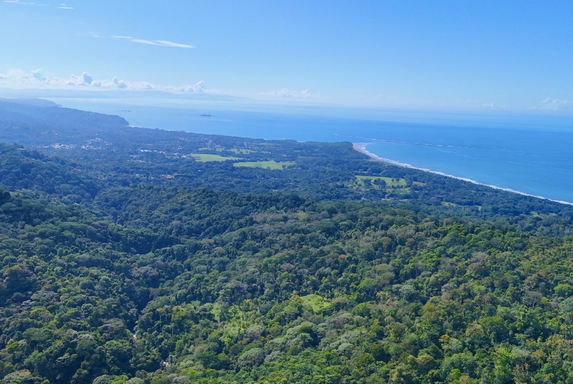 MOUNTAIN BUILDING PROPERTY WITH A CREEK, IN SAN JOSECITO – 5.9 ACRES