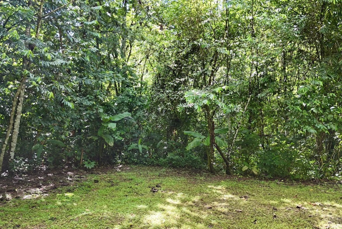 MOUNTAIN BUILDING PROPERTY WITH A CREEK, IN SAN JOSECITO – 5.9 ACRES