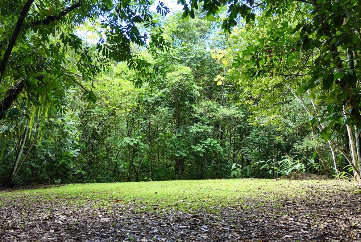 MOUNTAIN BUILDING PROPERTY WITH A CREEK, IN SAN JOSECITO – 5.9 ACRES
