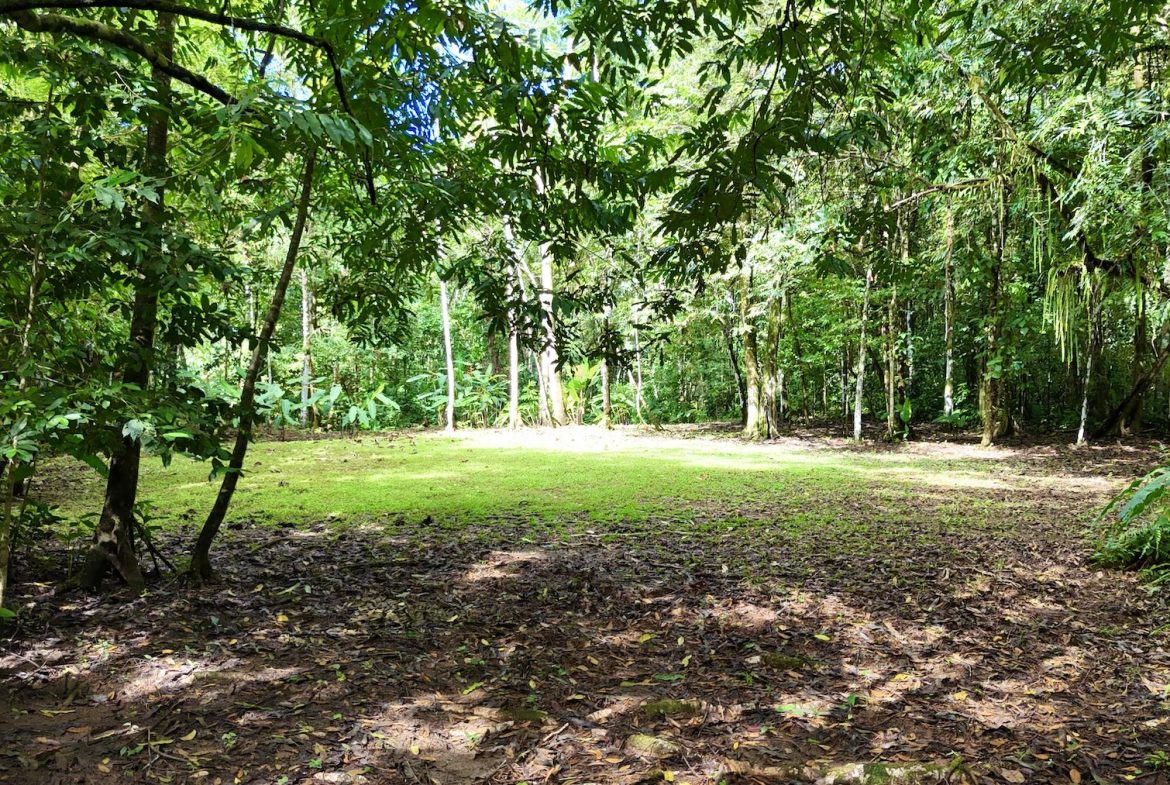 MOUNTAIN BUILDING PROPERTY WITH A CREEK, IN SAN JOSECITO – 5.9 ACRES