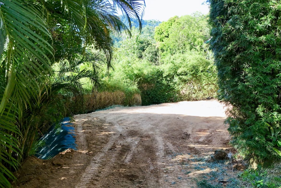 BUILDING PROPERTY WITH MOUNTAIN VIEWS NEAR TO THE TOWN, IN PLAYA HERMOSA – 0.13 ACRES