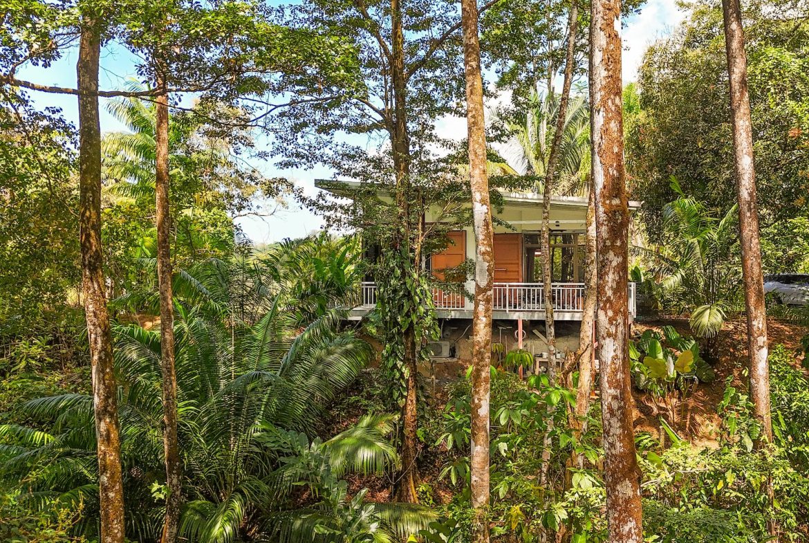 PROPERTY WITH TWO BEDROOMS AND JUNGLE VIEWS, IN UVITA – 1.22 ACRES