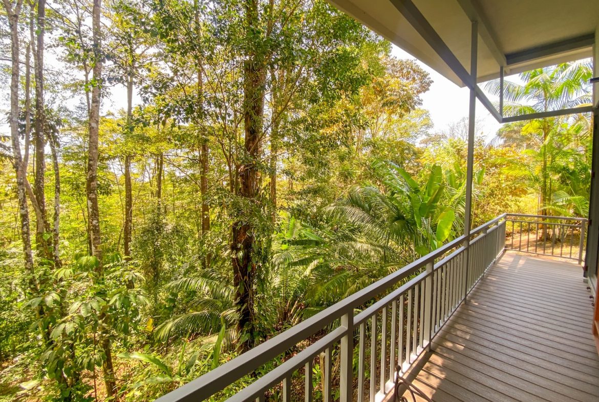 PROPERTY WITH TWO BEDROOMS AND JUNGLE VIEWS, IN UVITA – 1.22 ACRES