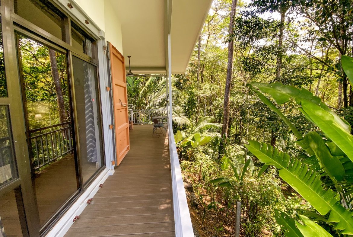 PROPERTY WITH TWO BEDROOMS AND JUNGLE VIEWS, IN UVITA – 1.22 ACRES