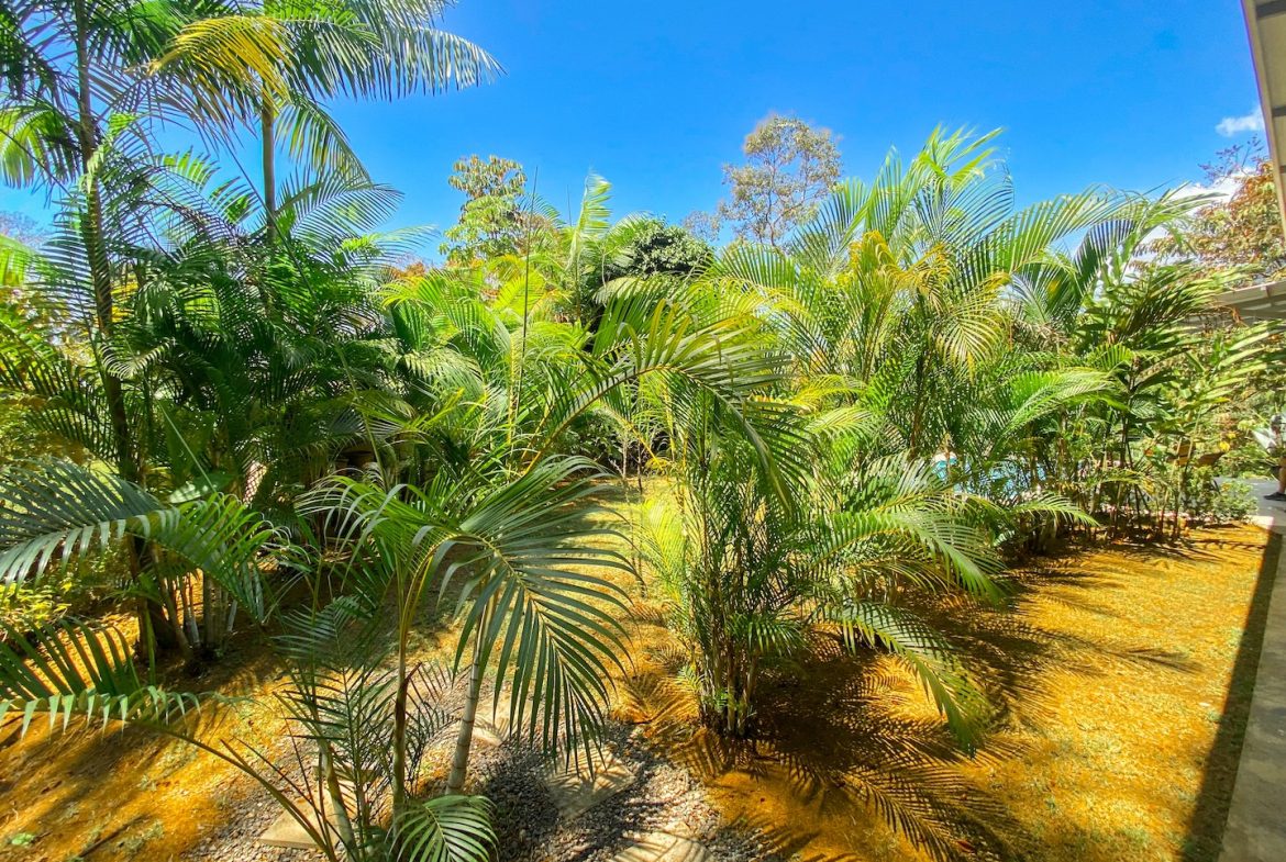 PROPERTY WITH TWO BEDROOMS AND JUNGLE VIEWS, IN UVITA – 1.22 ACRES