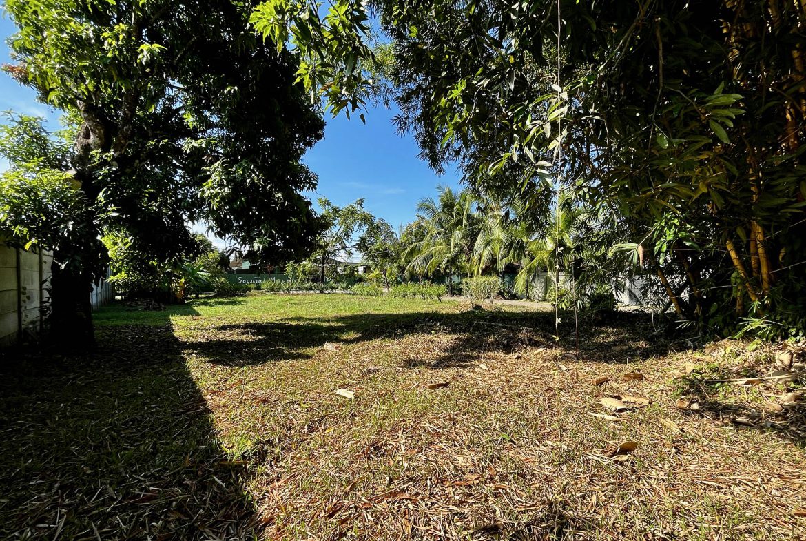 MAGICAL CORNER LOT IN UVITA w/ 8-MINUTE WALK TO NATIONAL PARK BEACH
