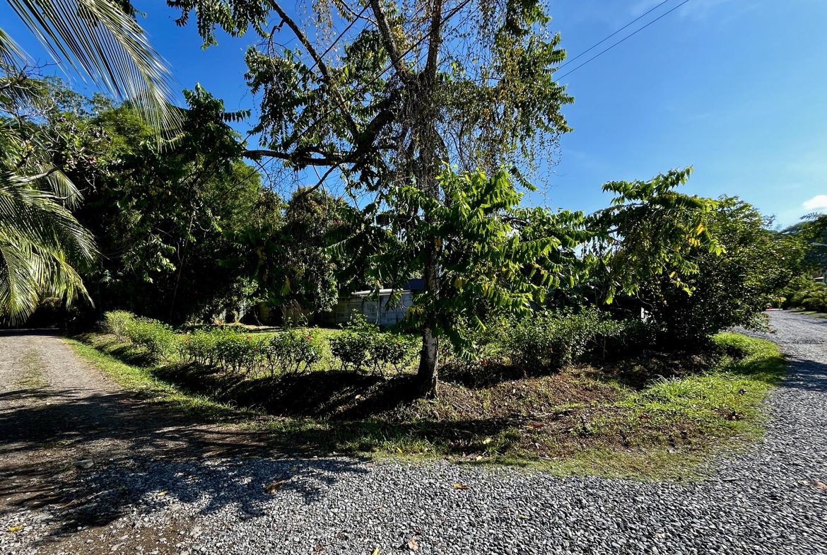 MAGICAL CORNER LOT IN UVITA w/ 8-MINUTE WALK TO NATIONAL PARK BEACH