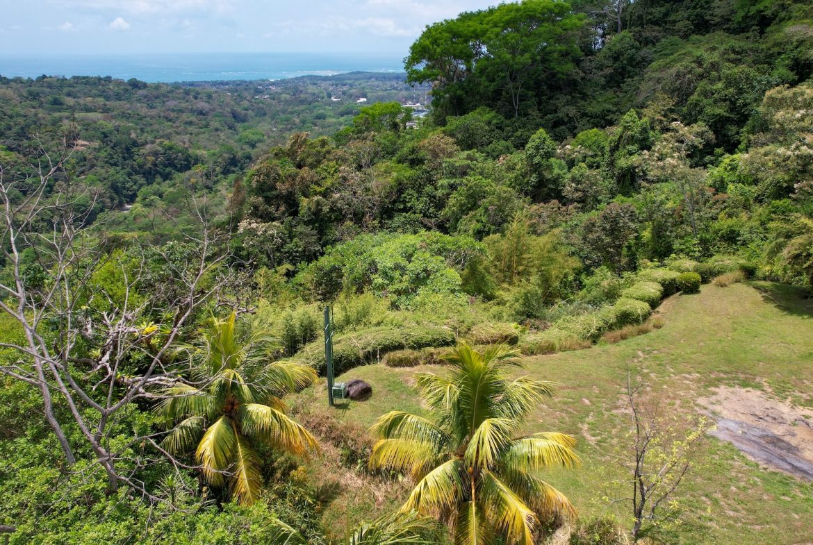 PROPERTY WITH OCEAN VIEWS, NEAR TO THE UVITA WATERFALL, IN UVITA – 3.19 ACRES