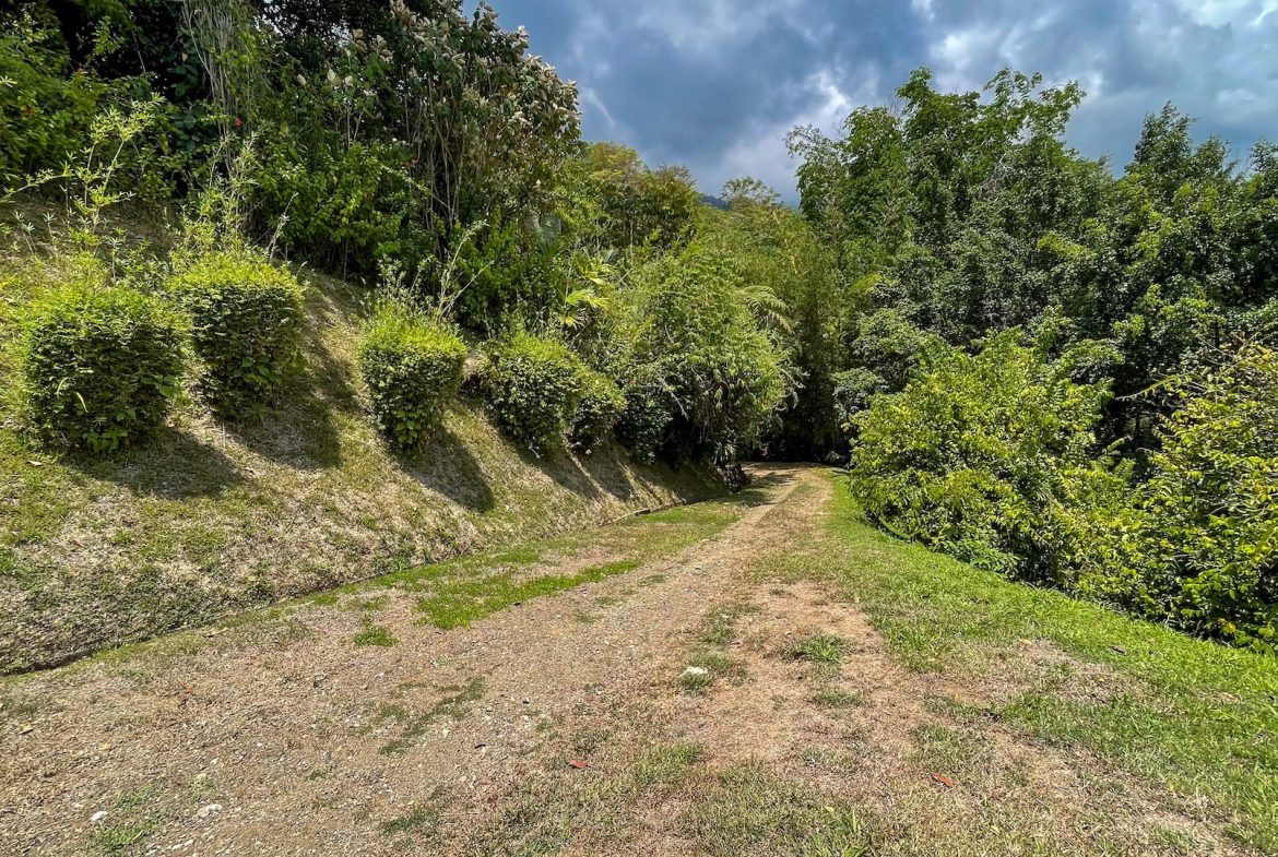 PROPERTY WITH OCEAN VIEWS, NEAR TO THE UVITA WATERFALL, IN UVITA – 3.19 ACRES