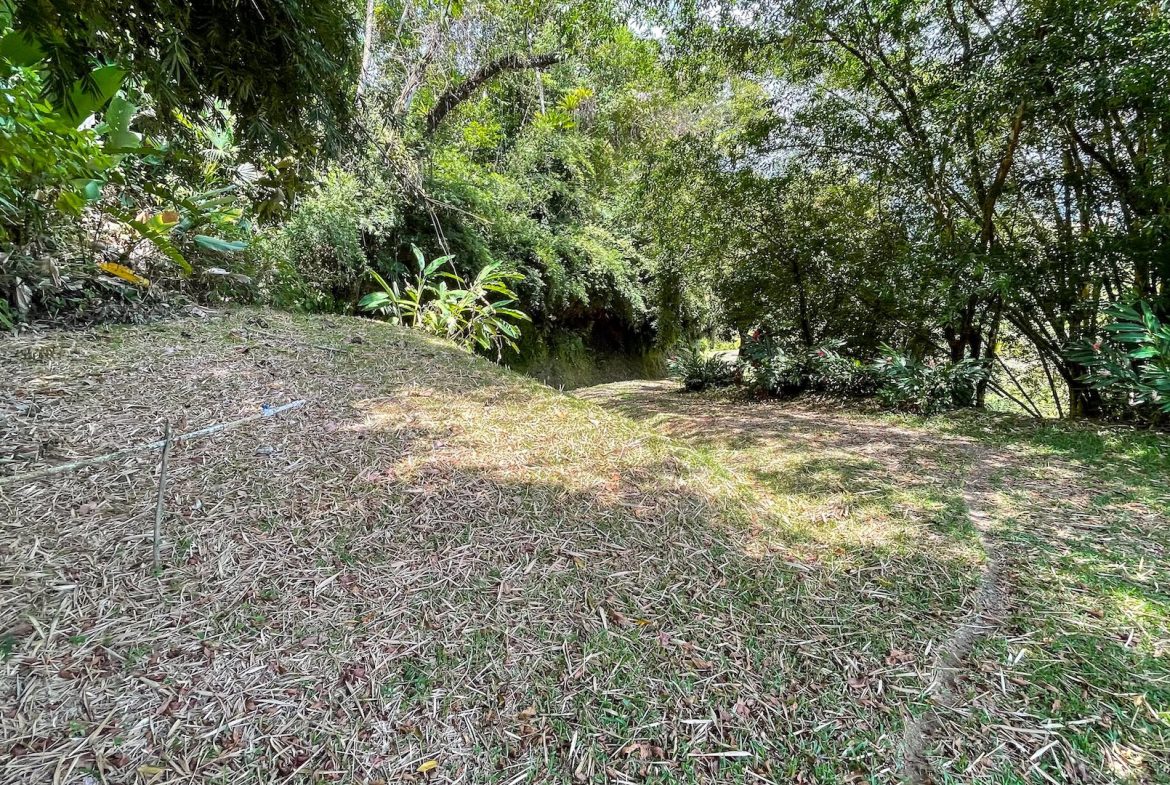 PROPERTY WITH OCEAN VIEWS, NEAR TO THE UVITA WATERFALL, IN UVITA – 3.19 ACRES