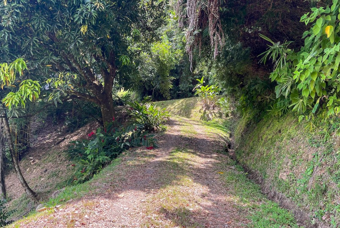 PROPERTY WITH OCEAN VIEWS, NEAR TO THE UVITA WATERFALL, IN UVITA – 3.19 ACRES