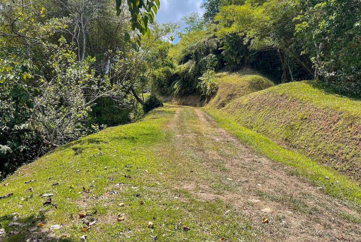 BUILDING PROPERTY WITH OCEAN VIEWS, NEAR TO THE WATERFALL, IN UVITA – 1.93 ACRES