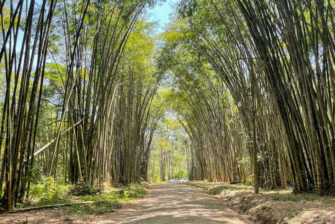 BUILDING PROPERTY WITH OCEAN VIEWS, NEAR TO THE WATERFALL, IN UVITA – 1.93 ACRES