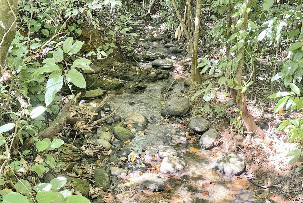 BUILDING PROPERTY WITH A CREEK, IN MATAPALO – 1.24 ACRES