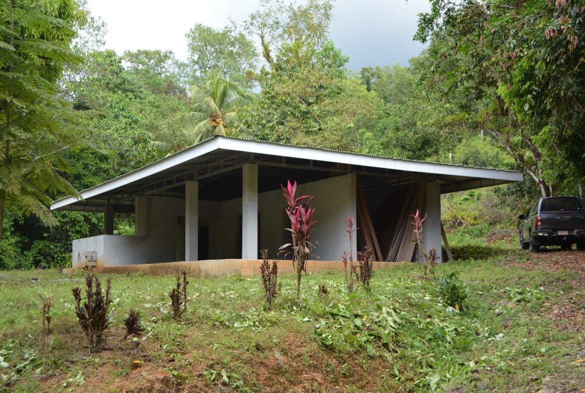 DEVELOPMENT PROPERTY WITH A HOUSE AND RIVER ACCESS,  IN DOS BOCAS SAVEGRE – 73 ACRES