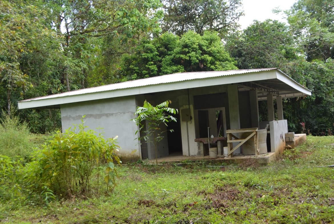 DEVELOPMENT PROPERTY WITH A HOUSE AND RIVER ACCESS,  IN DOS BOCAS SAVEGRE – 73 ACRES